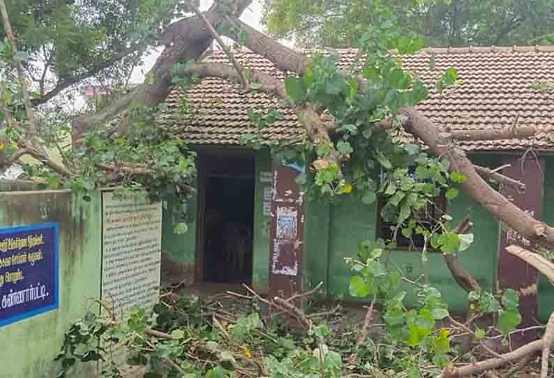 பள்ளி கட்டிடத்தில் மரம் சாய்ந்து விழுந்தது