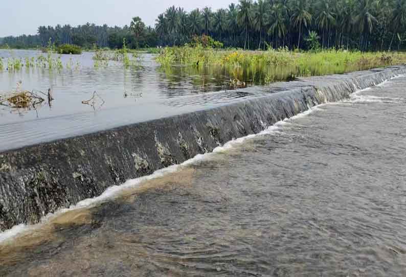 பிஏபி வாய்க்கால் மூலம் கோதவாடி குளம் நிரம்பியது