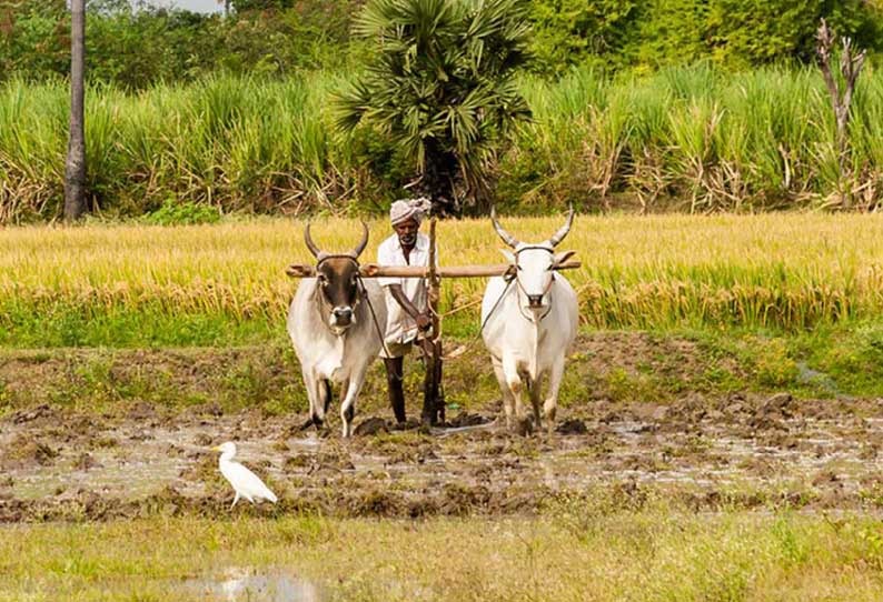 இயற்கை முறையில் விவசாயம் செய்வோம்