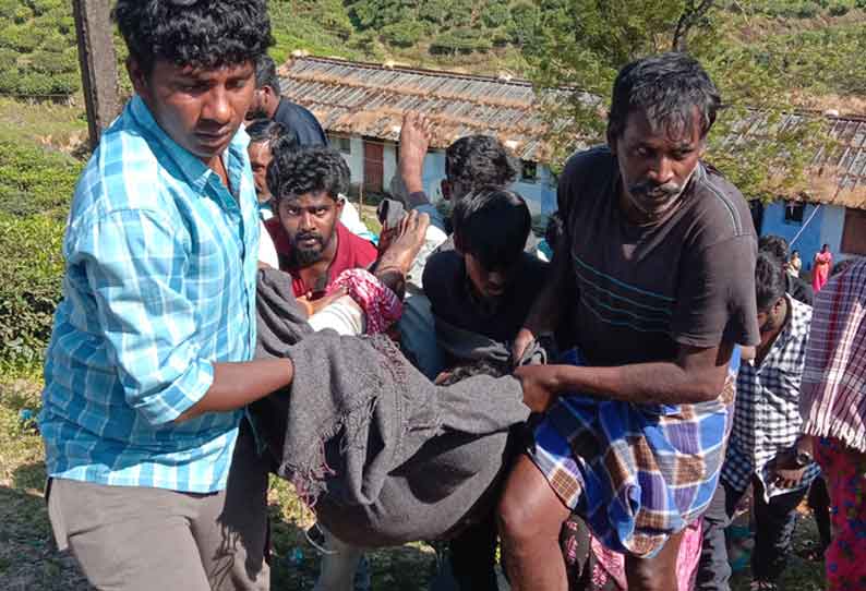 50 அடி பள்ளத்தில் தூக்கி வீசப்பட்டு வாலிபர் படுகாயம்