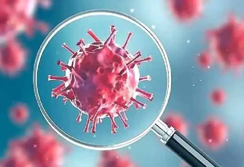 செங்கல்பட்டு மாவட்டத்தில் கொரோனா தொற்றால் ஒரே நாளில் 50 பேர் பாதிப்பு