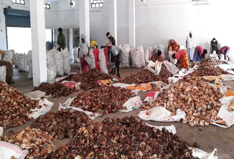 ஆனைமலையில் கொப்பரை தேங்காய் விலை குறைந்தது