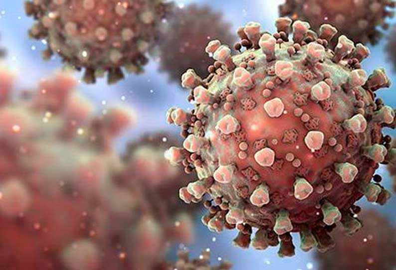 இந்தியாவில் ஒமிக்ரான் வைரஸ் பரவத் தொடங்கியுள்ளதாக மத்திய அரசு தகவல்