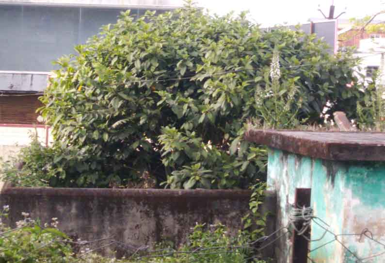 தினத்தந்தி புகார் பெட்டி தினத்தந்தி புகார் பெட்டி