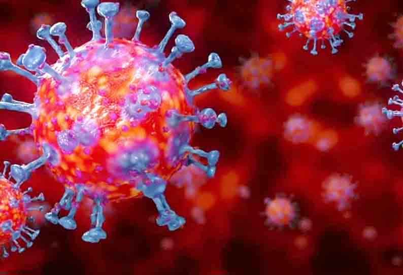 அரியலூர்- பெரம்பலூரில் தலா 3 பேருக்கு கொரோனா தொற்று