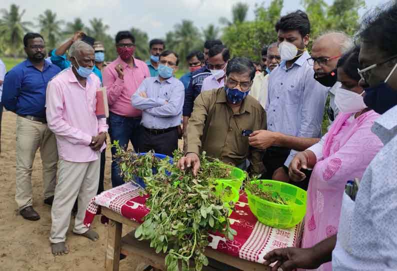 மயிலாடுதுறை மாவட்டத்தில் மழையால் பாதித்த நெற்பயிர்களை மத்திய குழுவினர் நேரில் ஆய்வு