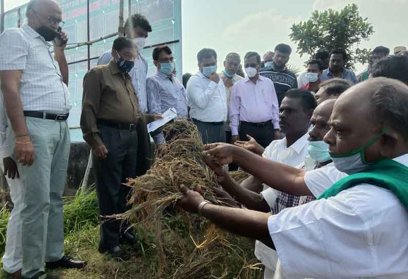 தொடர் மழையால் பாதிக்கப்பட்ட வயல்களை மத்தியக்குழுவினர் பார்வையிட்டனர்