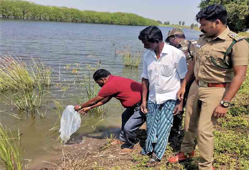 சரணாலய நீர்நிலைகளில் மீன்குஞ்சுகள் விடப்பட்டன