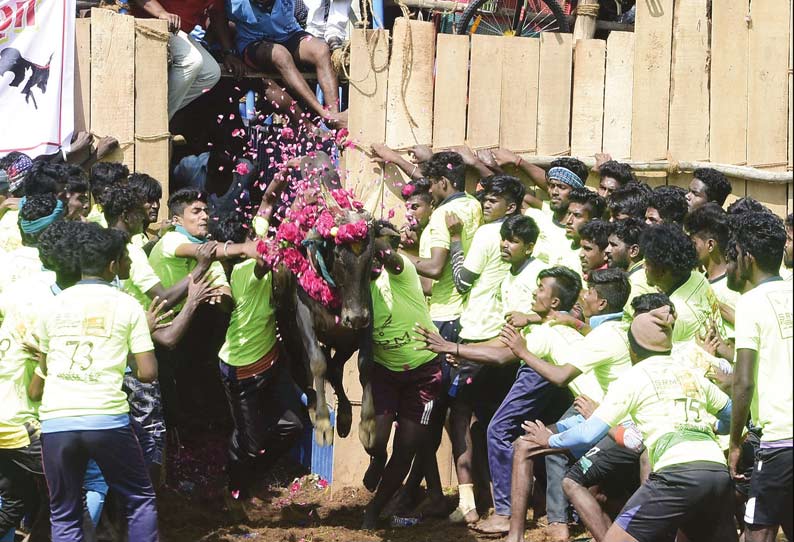 மணப்பாறை அருகே தீராம்பட்டி ஜல்லிக்கட்டில் சீறிப்பாய்ந்த காளைகள்; போலீஸ்காரர் உள்பட 26 பேர் படுகாயம்