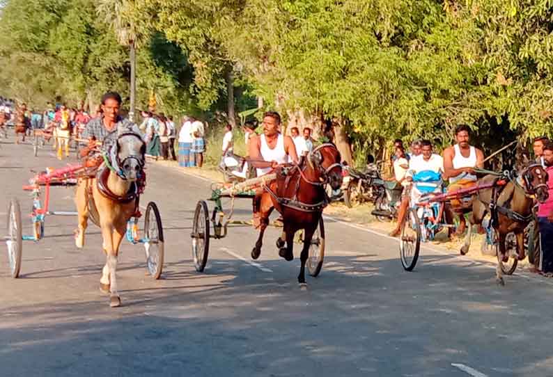 குளித்தலையில், குதிரை-மாட்டு வண்டி பந்தயம்