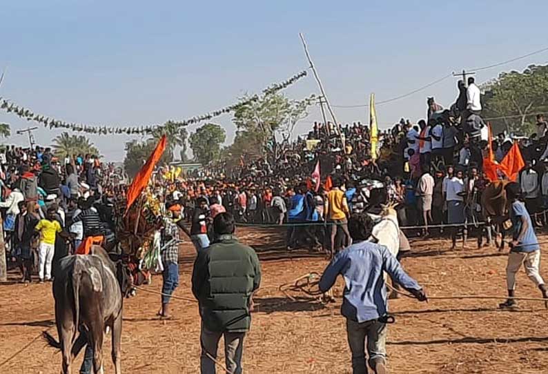 பென்னங்கூர் கிராமத்தில் எருது விடும் விழா