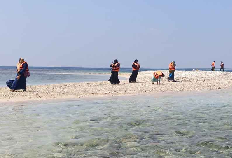 நடுக்கடலில் உருவான மணல் திட்டை காண சுற்றுலா பயணிகள் குவிந்தனர்