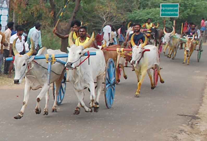 சீறிப்பாய்ந்த மாட்டு வண்டிகள்