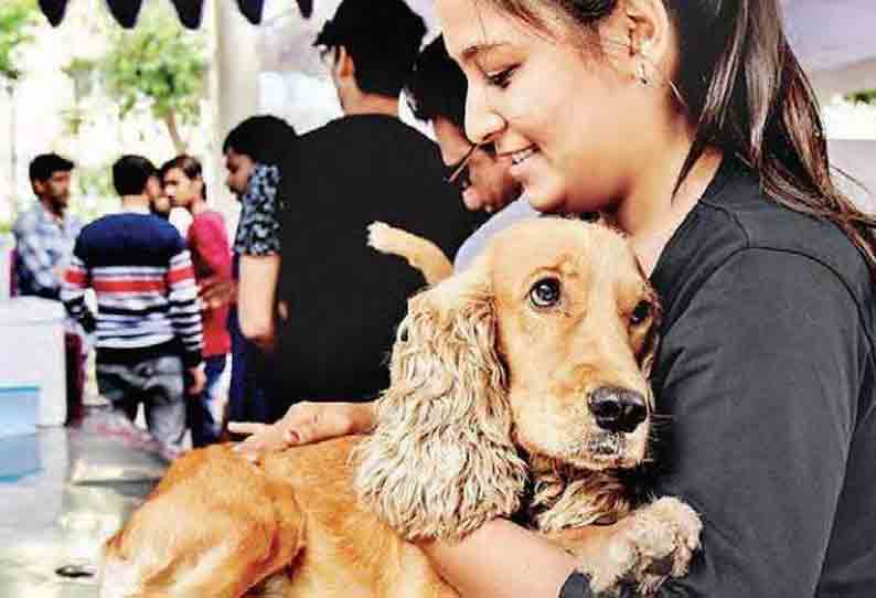 செல்ல பிராணிகளுக்கு இலவச தடுப்பூசி முகாம்