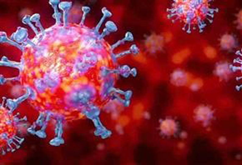 புதிதாக ஒருவருக்கும் கொரோனா பாதிப்பு இல்லை