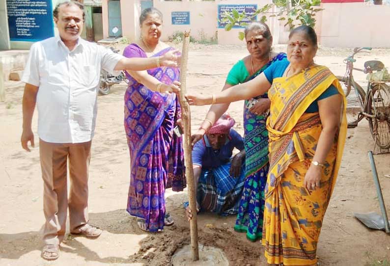 பள்ளியில் பாரம்பரிய முறைப்படி மரம் வளர்க்கும் பணி