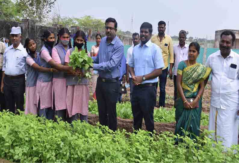 பள்ளி வளாகங்களில் காய்கறி-கீரை தோட்டம் அமைக்கும் பணி