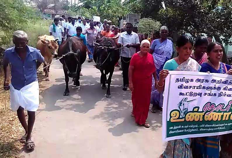 விவசாய கடன்களை தள்ளுபடி செய்யக்கோரி  கால்நடைகளுடன் விவசாயிகள் உண்ணாவிரதம்  அவினாசி அருகே பரபரப்பு