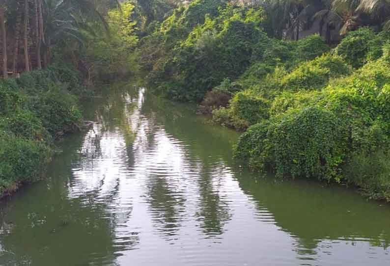 பட்டிவீரன்பட்டி அருகே மருதாநதி ஆற்றில் பச்சை நிறமாக மாறிய தண்ணீர்