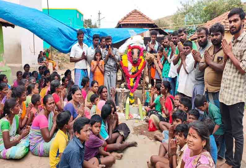 இறந்த கோவில் காளைக்கு கிராம மக்கள் அஞ்சலி