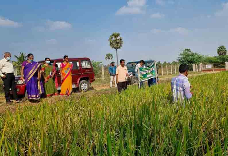 அரசு விதைப்பண்ணைகளில் கோவை அதிகாரி ஆய்வு