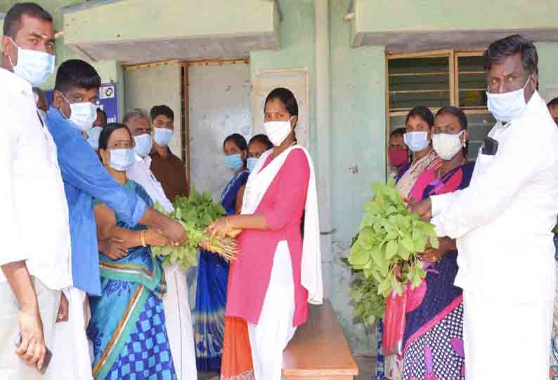 பள்ளி கிச்சன் கார்டன்கள் மூலம் கர்ப்பிணிகளுக்கு காய்கறி