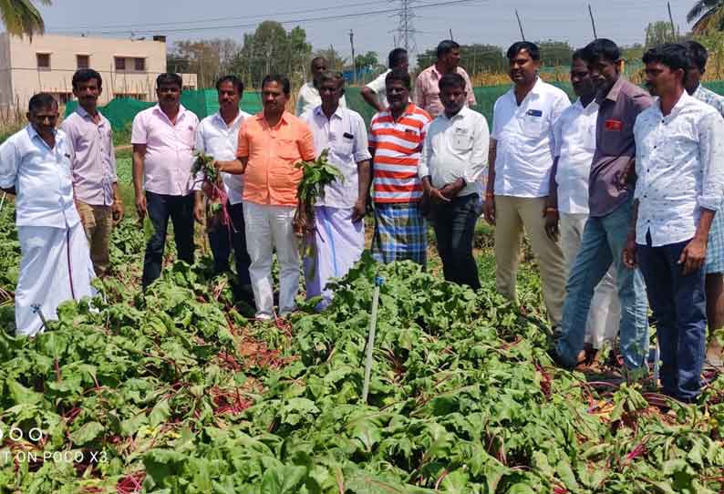 உத்தனப்பள்ளி அருகே விவசாய நிலங்களில் புகுந்து யானைகள் அட்டகாசம் பொதுமக்கள் சாலைமறியலில் ஈடுபட முயற்சி