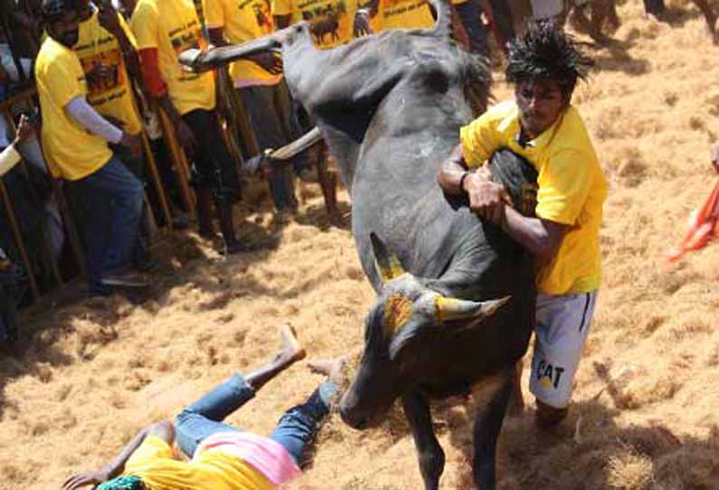 ரத்து செய்யப்பட்ட ஜல்லிக்கட்டு பேச்சுவார்த்தைக்குப்பின் நடந்தது