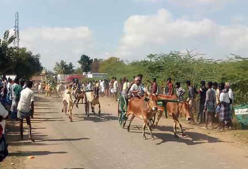 முத்தையா சுவாமி கோவில் திருவிழாவை முன்னிட்டு   மாட்டு வண்டி எல்கை பந்தயம்