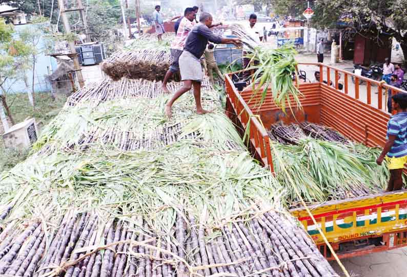 வேலூர், திருப்பத்தூர், ராணிப்பேட்டை மாவட்டங்களில் பொங்கல் பரிசு வழங்க ரூ.264 கோடி நிதி ஒதுக்கீடு - நாளை முதல் வினியோகம் தொடக்கம்