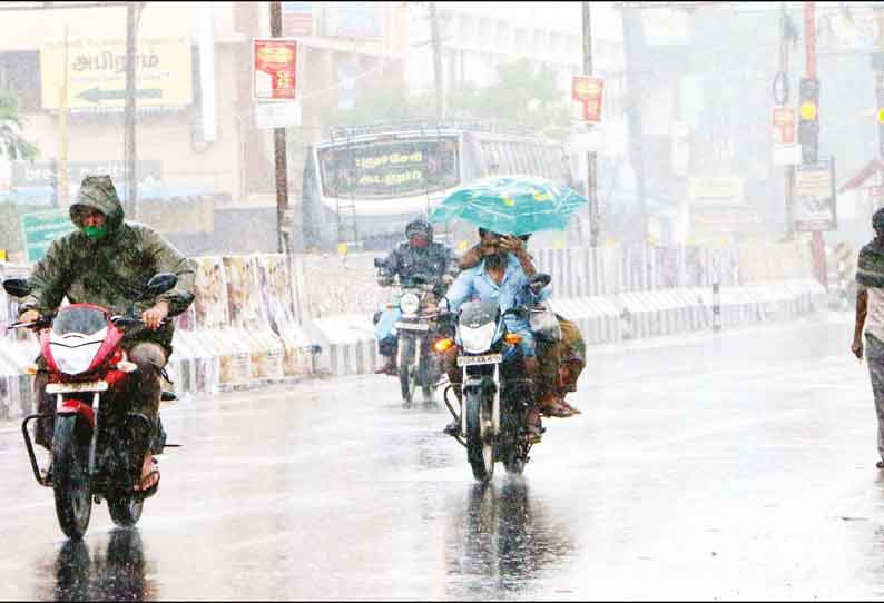 மாவட்டத்தில் பரவலாக மழை தாழ்வான இடங்களில் தண்ணீர் தேங்கியது