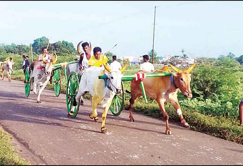 விளாத்திகுளம் அருகே மாட்டு வண்டி பந்தயத்தில் சீறிப்பாய்ந்த காளைகள்