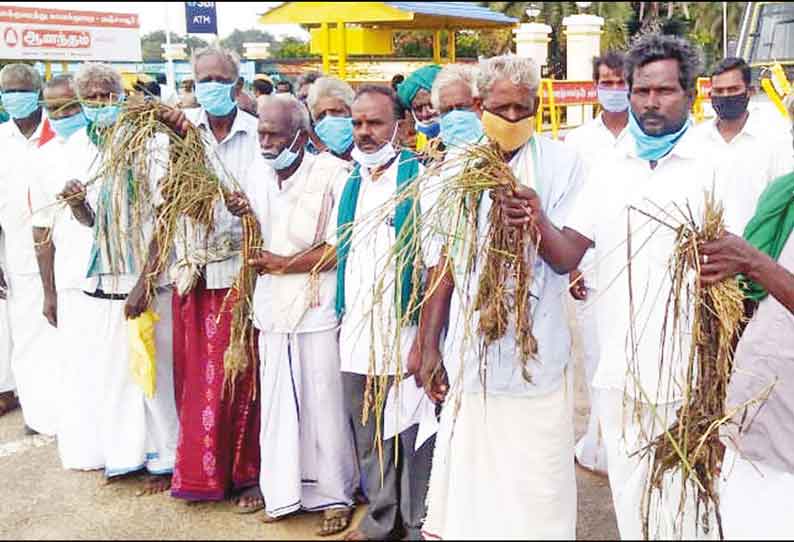 குத்தகை நிலத்தில் பாதித்த நெற்பயிருக்கு நிவாரணம் பெற அடங்கல் சான்று வழங்க வேண்டும்