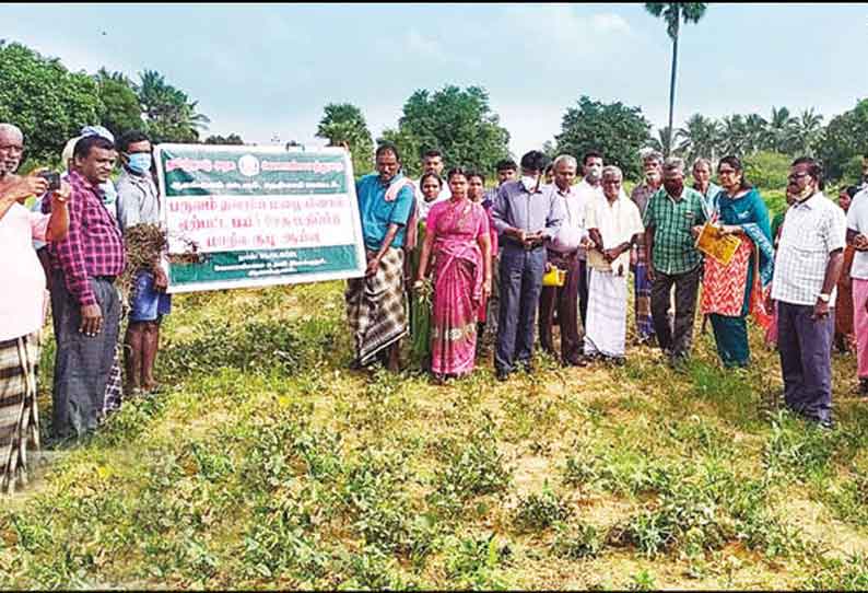 ஊத்துமலை-மேலமருதப்பபுரம் பகுதியில் வேளாண் அதிகாரிகள் ஆய்வு