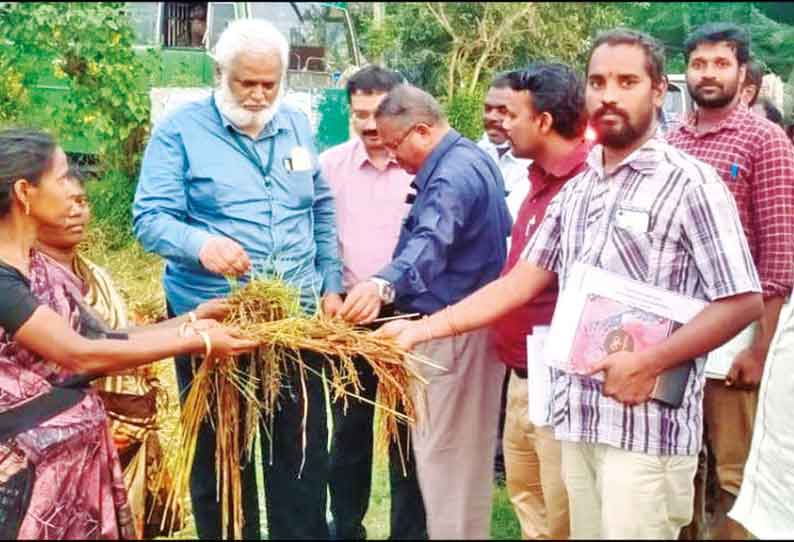 சீர்காழியில், மழையால் பாதிக்கப்பட்ட விளை நிலங்களை வேளாண்துறை அதிகாரிகள் ஆய்வு