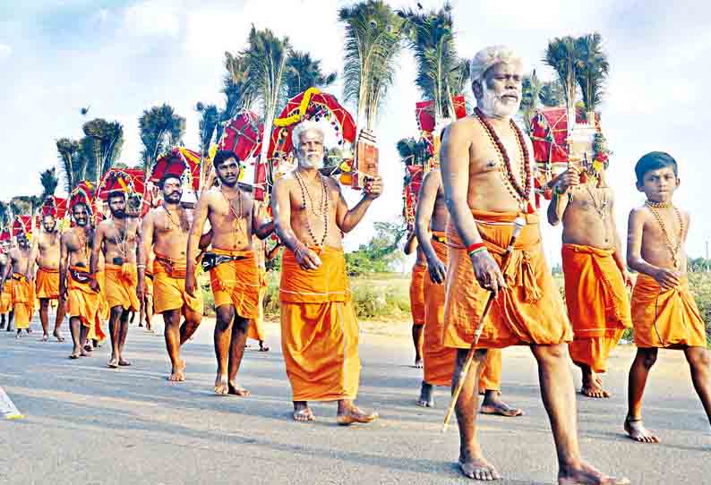 தைப்பூச திருவிழா: பழனிக்கு காவடி எடுத்து சென்ற பக்தர்கள்