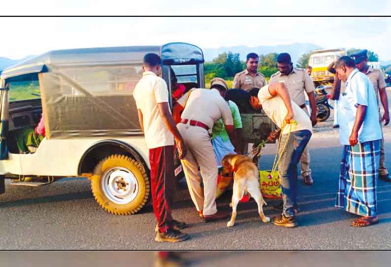 கஞ்சா கடத்தலை தடுக்க நடவடிக்கை: கம்பத்தில் மோப்ப நாய் மூலம் போலீசார் தீவிர வாகன சோதனை