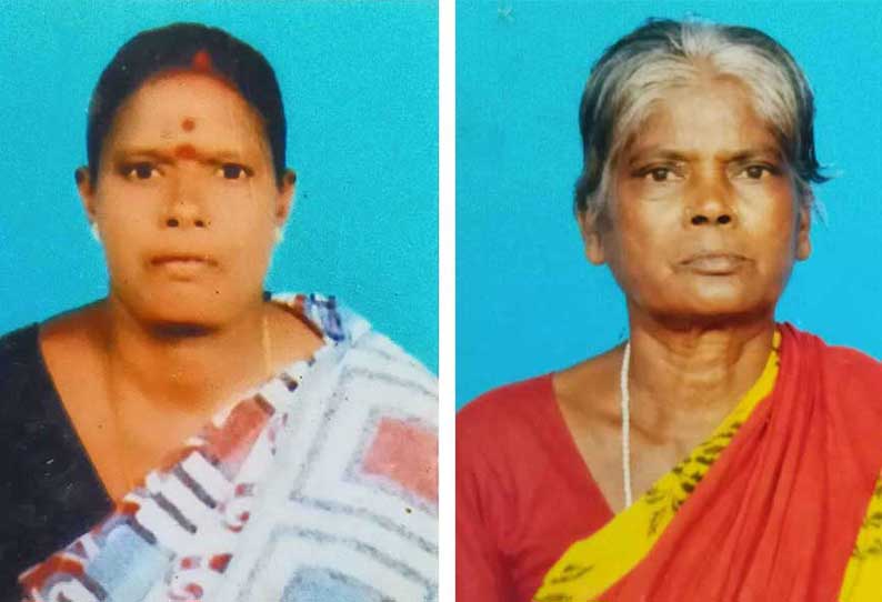 வந்தவாசி அருகே மோட்டார் சைக்கிள்கள் மோதிக்கொண்ட விபத்தில் 2 பெண்கள் பரிதாப சாவு