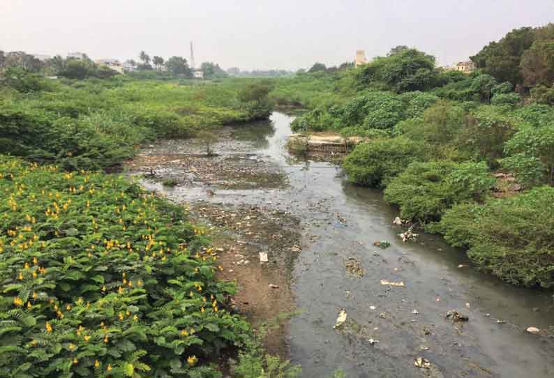 நங்காஞ்சி ஆற்றில் முட்புதருக்குள் தேங்கிய நிற்கும் கழிவுநீரை படத்தில் காணலாம்