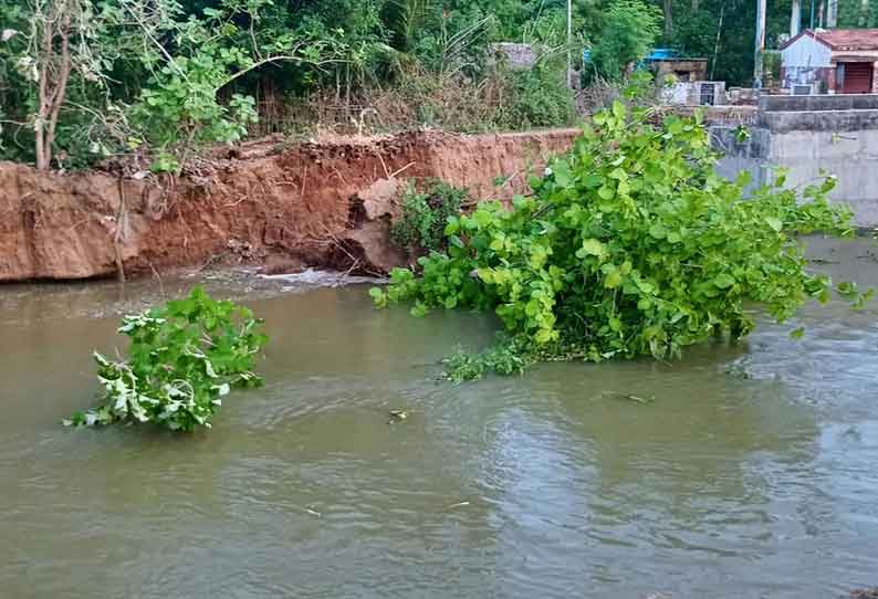 கூத்தாநல்லூர் அருகே பரபரப்பு: மண் சரிவால் ஆற்றுக்குள் விழுந்த மரம் உடைப்பு ஏற்படும் அபாயம்