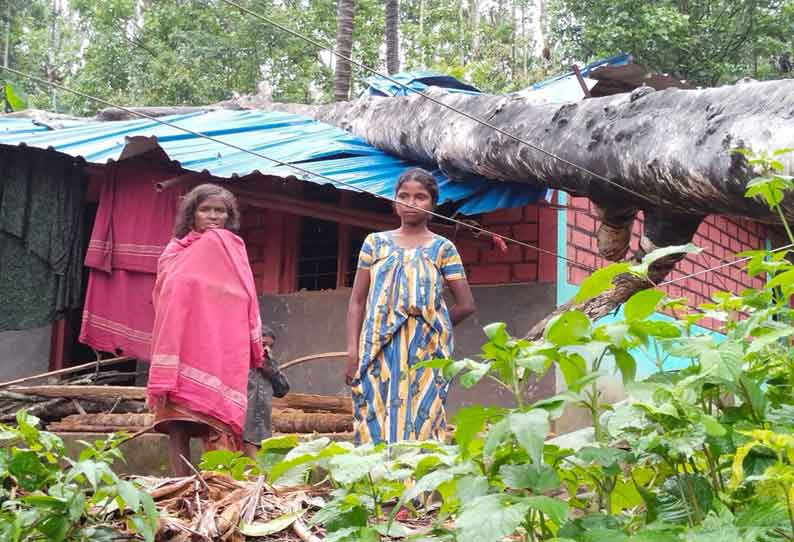 பந்தலூர் அருகே மரம் விழுந்து வீடு சேதம்