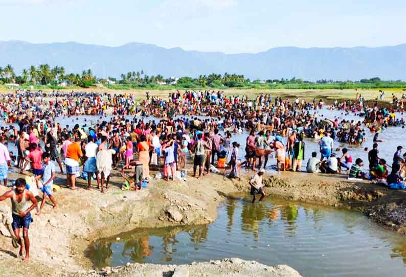 சிறுநாவலூர் ஏரியில் மீன்பிடி திருவிழா; 3 ஆயிரத்துக்கும் மேற்பட்டோர் பங்கேற்பு