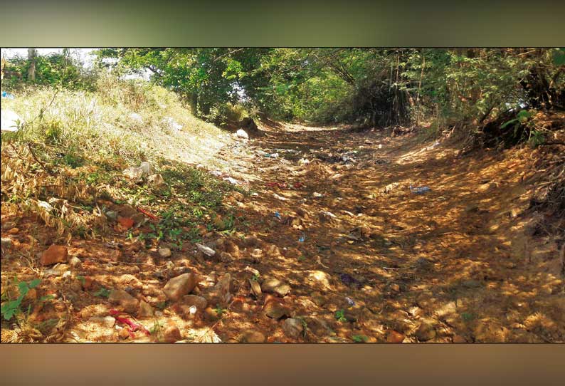 திருக்கடையூரில் புதர் மண்டி கிடக்கும் சீவகசிந்தாமணி வாய்க்காலை தூர்வார வேண்டும் விவசாயிகள் கோரிக்கை