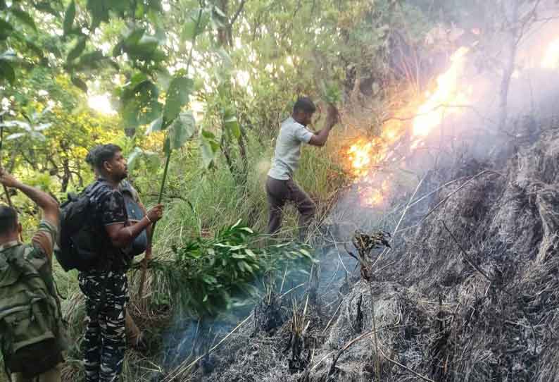 களக்காடு மலையில் பரவிய காட்டுத்தீ அணைக்கப்பட்டது