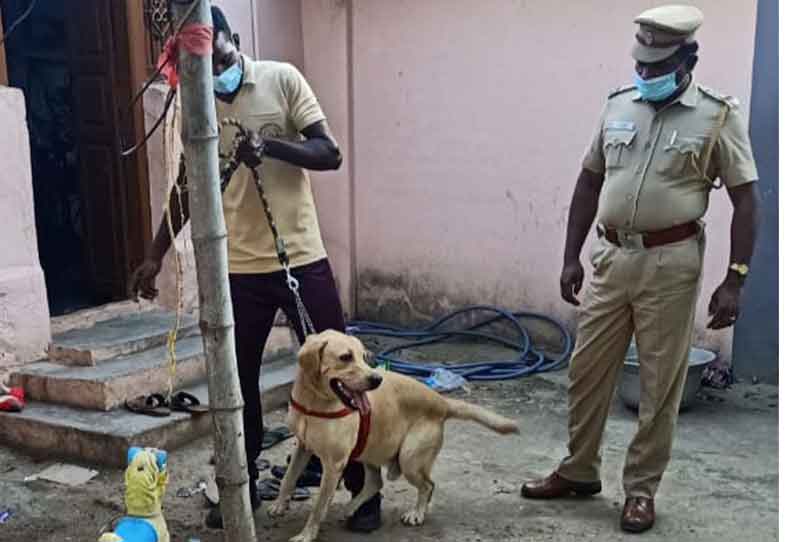 மோப்ப நாய் மூலம் போலீசார் கஞ்சா தேடுதல் வேட்டை