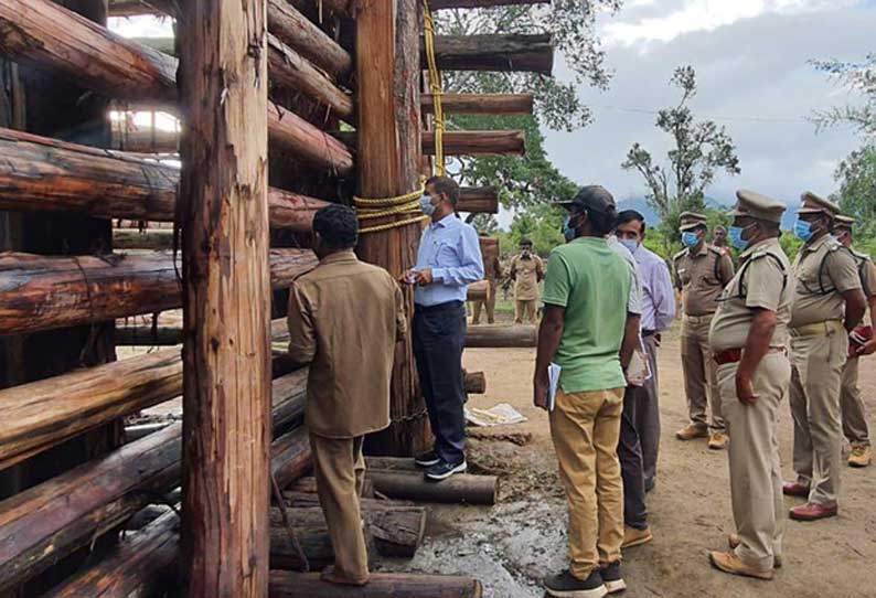 ரிவால்டோ யானை பராமரிப்பை வனத்துறை அதிகாரி ஆய்வு