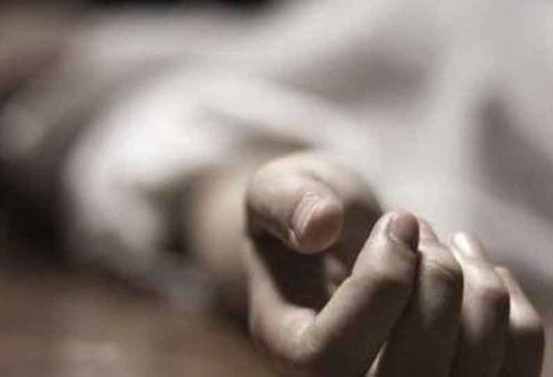 மரம் விழுந்து முதியவர் பலி