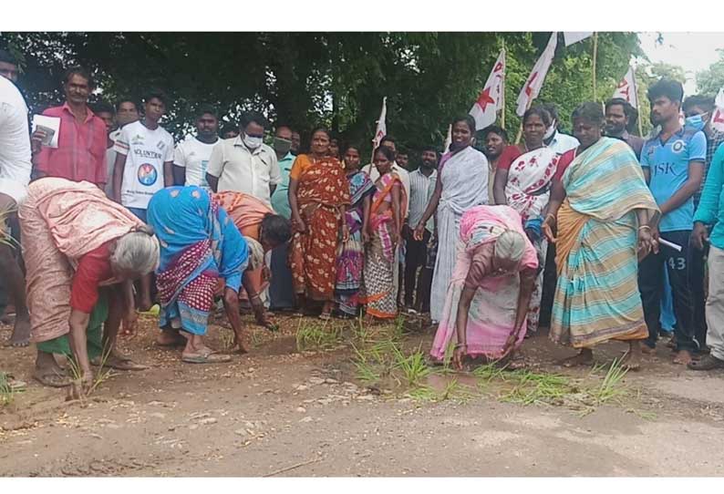 மீசநல்லூர் கிராமத்தில் சாலையில் நாற்று நடும் போராட்டம்