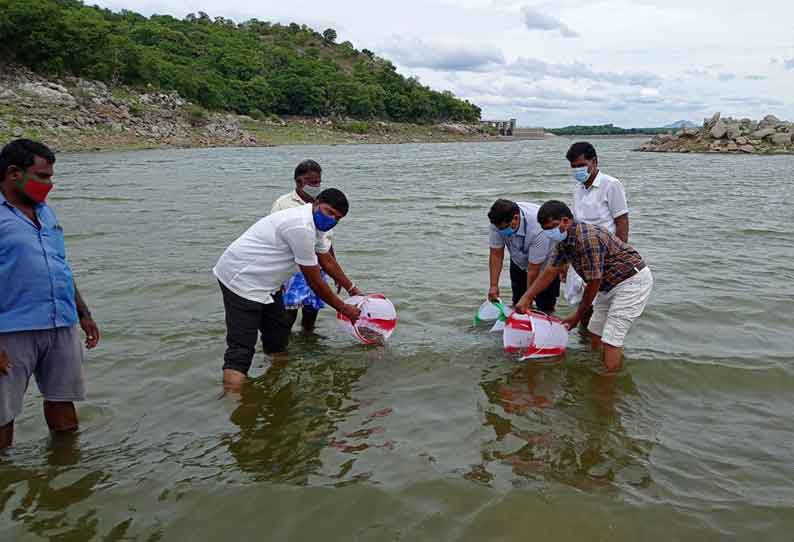 சாத்தனூர் அணையில் 2 லட்சம் மீன் குஞ்சுகள் விடப்பட்டன