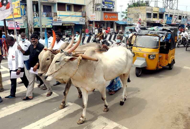 பெட்ரோல், டீசல் விலை உயர்வை கண்டித்து ஆட்டோவை மாடுகள் மூலம் கட்டி இழுத்து நூதன ஆர்ப்பாட்டம்